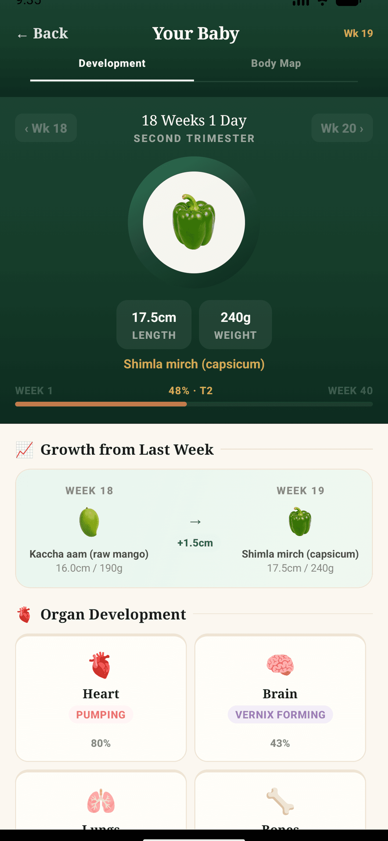 Your Baby development screen showing week 18 fetal size and organ development